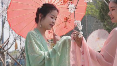 【视频】汉服美女打卡天屿湖樱花大道