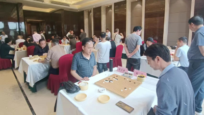 汉川新洲两地爱好者“棋”聚一堂畅享围棋乐趣