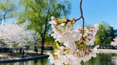 晴雨转折，暖意不减