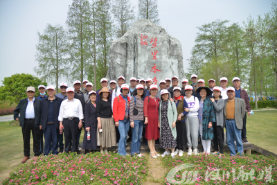 赏景寻春 乐在其中