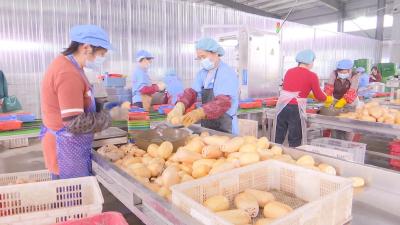【视频】王飞：自建8000多亩粉藕基地 全心打造汉川莲藕生态圈