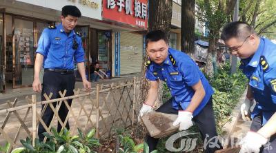 对损绿占绿行为“零容忍”！