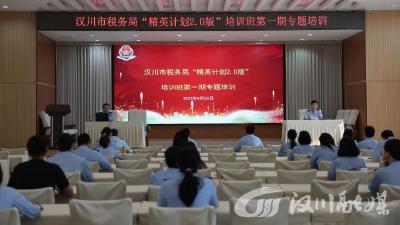 汉川税务的这项工作，被表扬啦