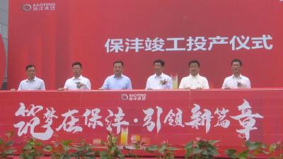 【视频】厦门保沣集团（湖北）有限公司正式投产
