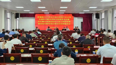 新堰镇：专项整治护航乡村振兴