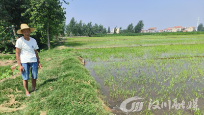 它们高兴地喝上了水，开心地笑了