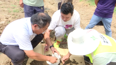 【视频】我市开展第三次全国土壤普查外业调查采样实操演练