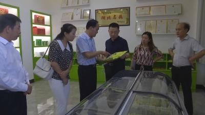 【视频】省科技厅专家组来我市考察乡村振兴科技创新示范基地建设情况