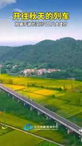视频 | 开往秋天的列车