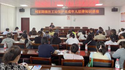 汉川法院以法治授课为儿童督导员、儿童主任赋能