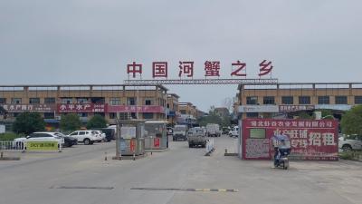【视频】“蟹”逅双节 我市螃蟹市场火爆