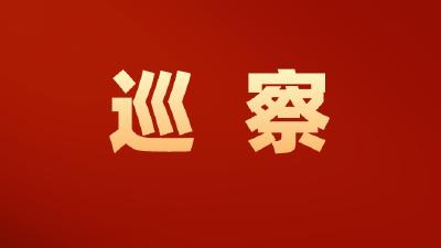 【视频】七届市委第四轮巡察工作启动