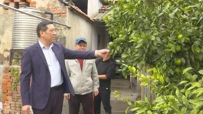 【视频】肖志元：履职尽责 让昔日村庄绽放新颜