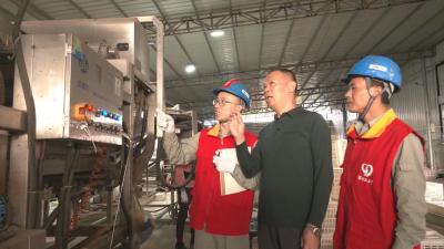 【视频】汉川：满格电力 助力万亩毛豆丰收