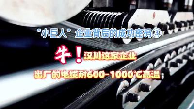 视频 | 牛！汉川这家企业出厂的电缆耐600-1000℃高温