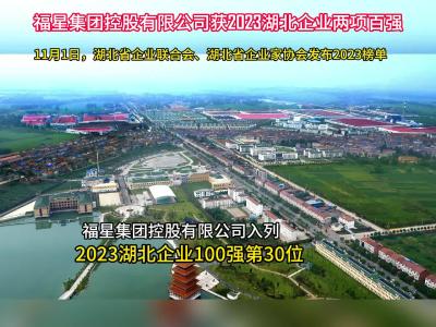 视频 | 福星控股 湖北百强企业