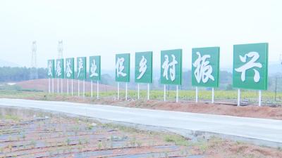 【视频】汉川市党政代表团赴孝昌县开展乡村振兴区域协作交流