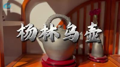 视频 | 汉川“非遗”杨林乌壶