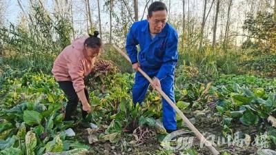 分水“懒神人”变身“勤快哥”