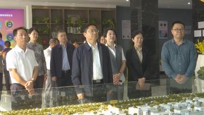 【视频】王兴於来我市调研承接沿海纺织服装产业转移工作