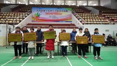 汉川市第十七届小学生乒乓球赛闭幕