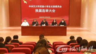 汉川市实验小学顺利完成党总支及所辖支部换届选举
