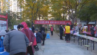 【视频】市民政局开展“宪法进社区”志愿服务活动