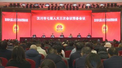 【聚焦汉川两会】汉川市第七届人民代表大会第三次会议预备会议召开