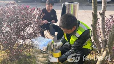 未雨绸缪！全面启动各项防冻防滑预案   
