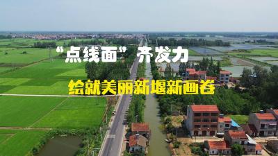 视频 | “点线面”齐发力 绘就美丽新堰新画卷