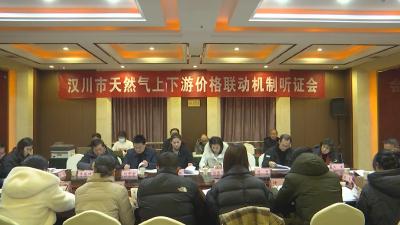 【视频】全市天然气上下游价格联动机制听证会召开