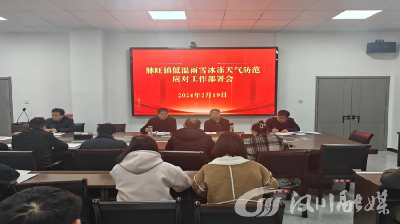 脉旺镇召开低温雨雪冰冻天气防范应对工作部署会