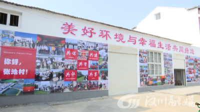 全市乡村振兴系统工作现场推进会在湾潭召开