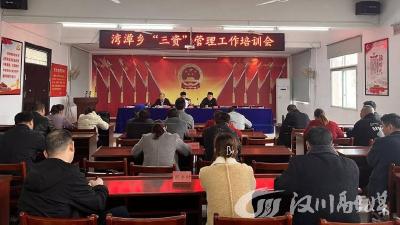 湾潭：“联合”培训让“三资”管理再提升