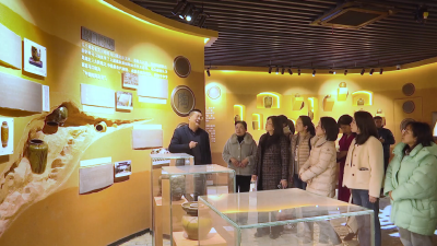 【视频】深化清廉家庭建设 点亮清正廉洁“万家灯火”