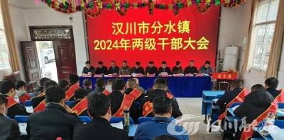 汉川分水镇召开两级干部大会