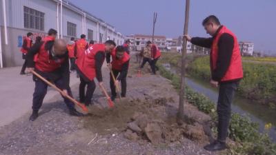 【视频】传承雷锋精神 播种绿色希望