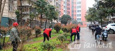 党建引领聚合力 植树添绿美家园