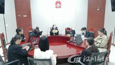 汉川法院开展“保护妇女儿童权益专题开放日”活动