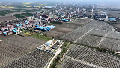 【视频】恢复重建 160亩大棚葡萄萌新芽