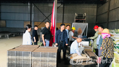 机械化育秧按下春耕“加速键”