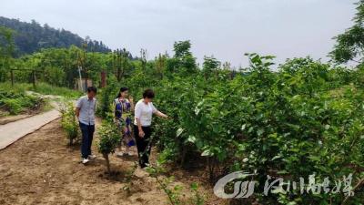 汉川市科协调研指导家庭农场专家工作站创建工作