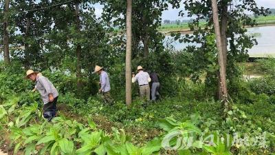 刘家隔镇：闻“汛”而动 多措并举打好防汛“主动仗”