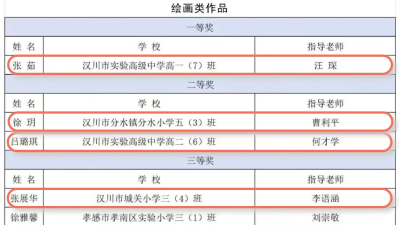 省级荣誉！汉川多名学生获奖