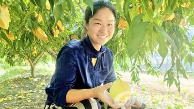 快递入果园  这里的瓜果抢“鲜”出村 