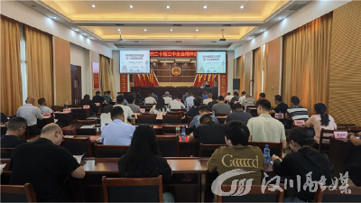 沉湖镇学习贯彻党的二十届三中全会精神