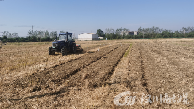 机械免费播种！湾潭乡已完成油菜轮作1300亩