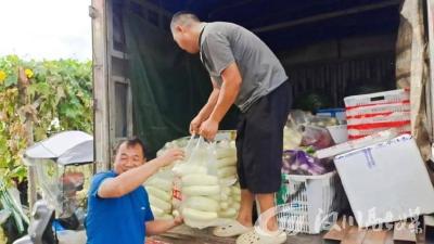 湾潭乡：张池村瓜果飘香产业旺 乡村振兴“甜味浓”