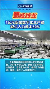 视频 | 蜀峰线业：1亿元新建数字化生产线 减少人力成本30%