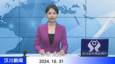 汉川新闻20241031
